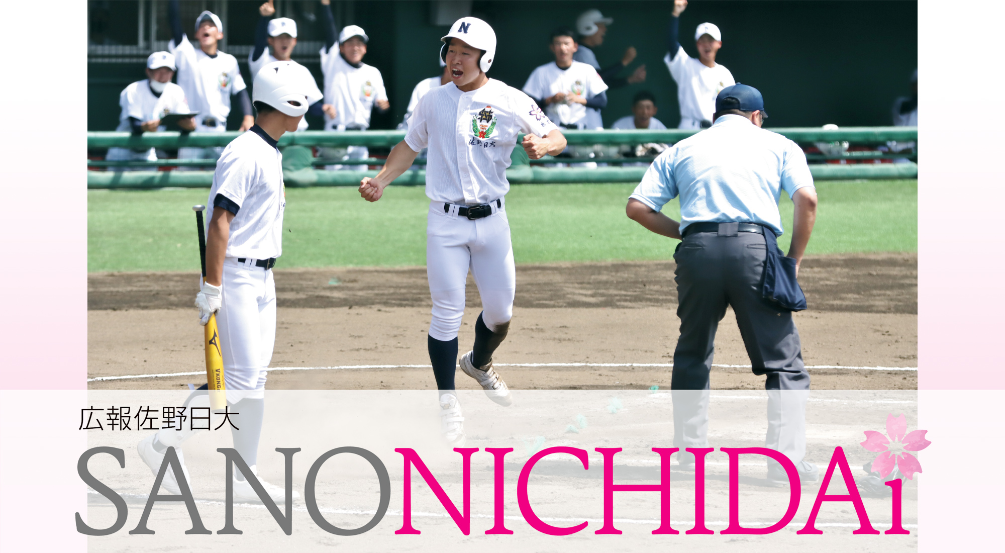 佐野日本大学高等学校